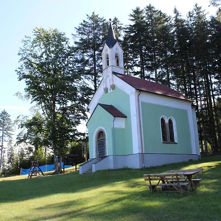 Lipno Wellness - C 402-403 * Frymburk